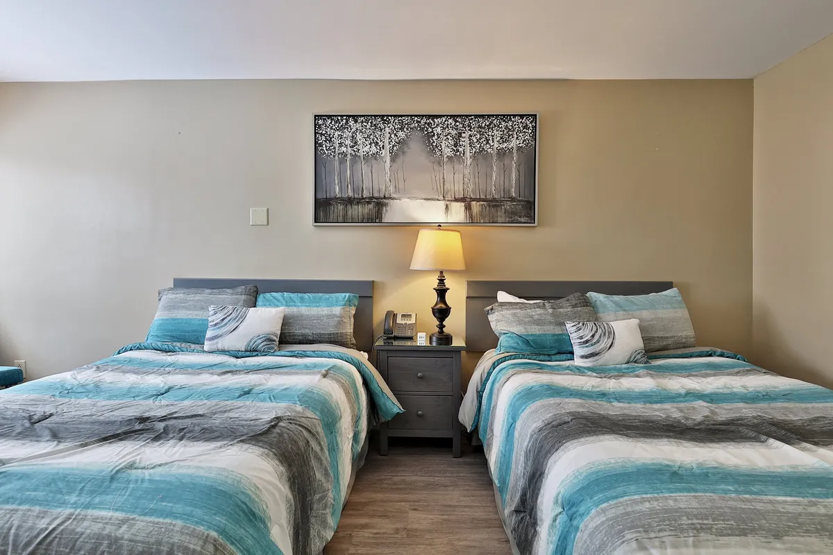 This image features a cozy hotel studio interior with two beds adorned in striped bedding, a nightstand with a glowing lamp, and wall art depicting trees. The natural light filtering through the window adds a welcoming touch, suggesting a restful atmosphere perfect for unwinding after an evening out.