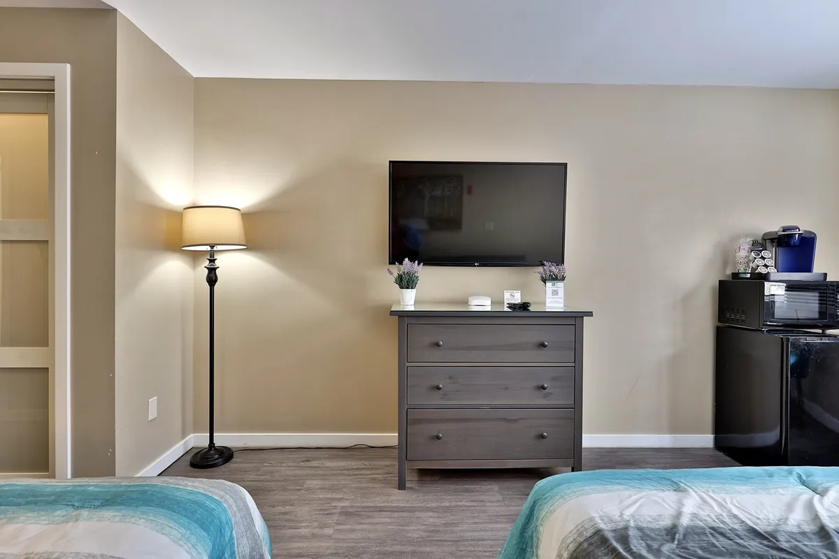 This image shows a lamp, television, dresser, mini-fridge, and a decorative plant, arranged to create a functional and cozy corner. The setup suggests comfort and convenience, ideal for enjoying in-room entertainment or a beverage after a long day.